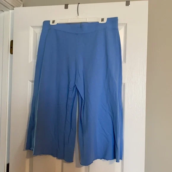 Gap Baby Blue Elastic Waist Wide Leg Capri - Picture 2 of 5